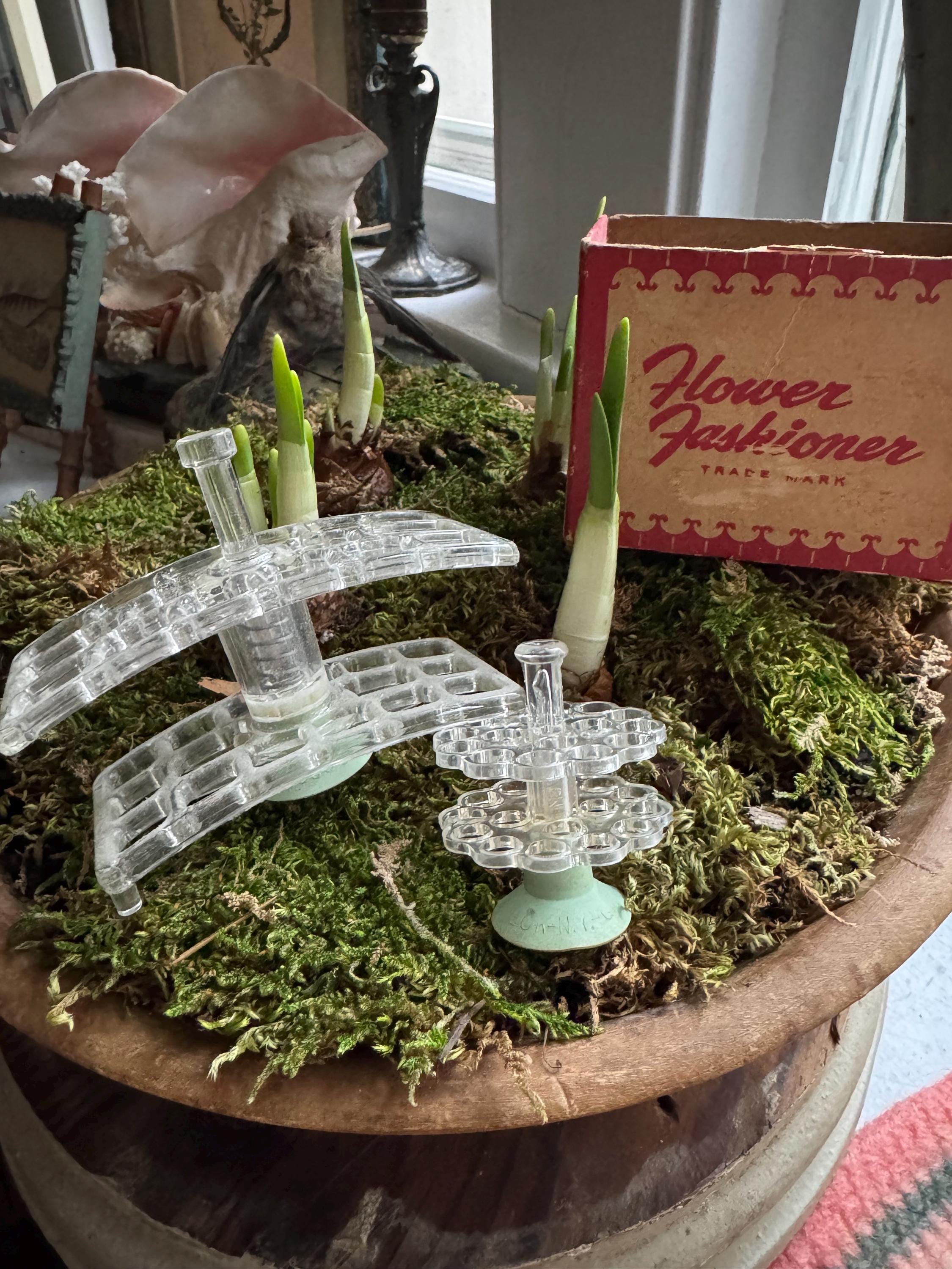 I’m Always Looking For The  Perfect Display For Specimens And These Vintage Clear Lucite Flower Frogs Are It