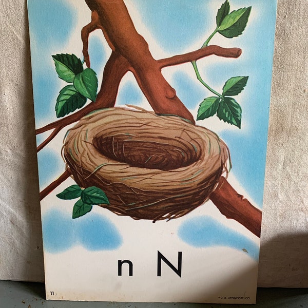 N Is For Nest  Vintage 1950s LB Lippincott Co Large Stock Card Alphabet Learning Card