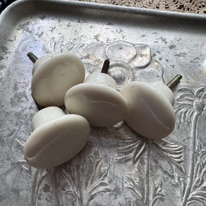 May include: A collection of six off-white, oval-shaped cabinet knobs with threaded metal stems. The knobs are arranged on a vintage, silver-colored metal tray with embossed floral designs. The knobs have a glossy finish.