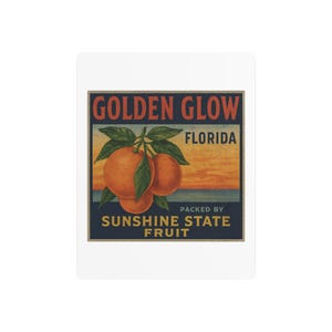 Golden Glow Florida Citrus Metal Sign | Vintage Fruit Crate Wall Decor | Retro Farmhouse Kitchen Gift