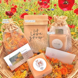Wildflower Seeds - Nature Lover Gift for Mum, Girlfriend, Grandma, Birthday, Anniversary, Get Better Soon, Calming, Gardening, Meditation