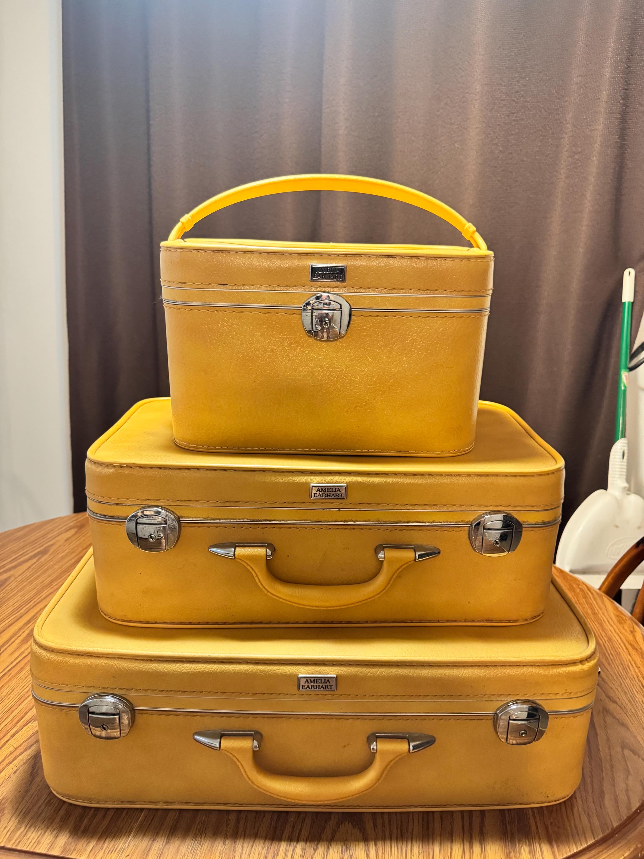 Buy Luggage Amelia Earhart Online In India India