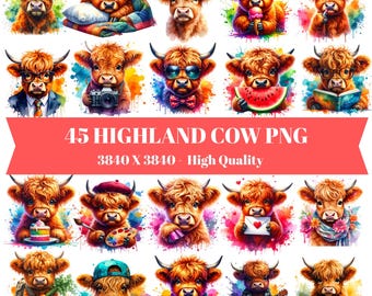 45 Highland Cow Clipart : Farm Animal PNG Illustrations (Digital Download)