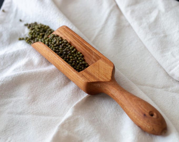 Handmade Elm Wood Spice Scoop – Rustic Kitchen Essential