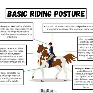 Equestrian Training Guide: Beginner Horse Riding Posture Chart