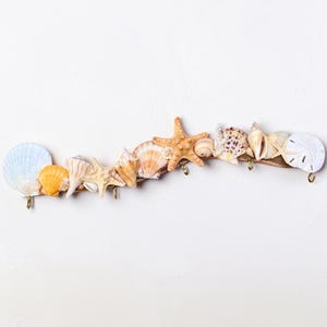 Coastal Seashell Wall Hook | Driftwood Beach Key Holder | Starfish Sand Dollar Decor