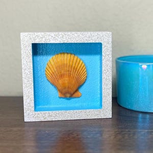Scallop Shell Shadow Box Coastal Wall Art