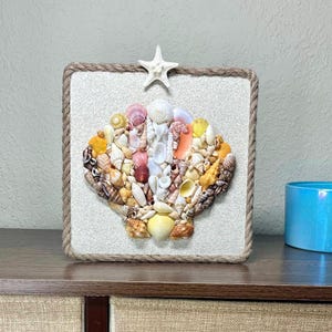 Coastal Seashell Wall Art