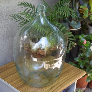 Vintage Large XXL Green Glass Demijohn – 25 Liters - Antique Wine Bottle