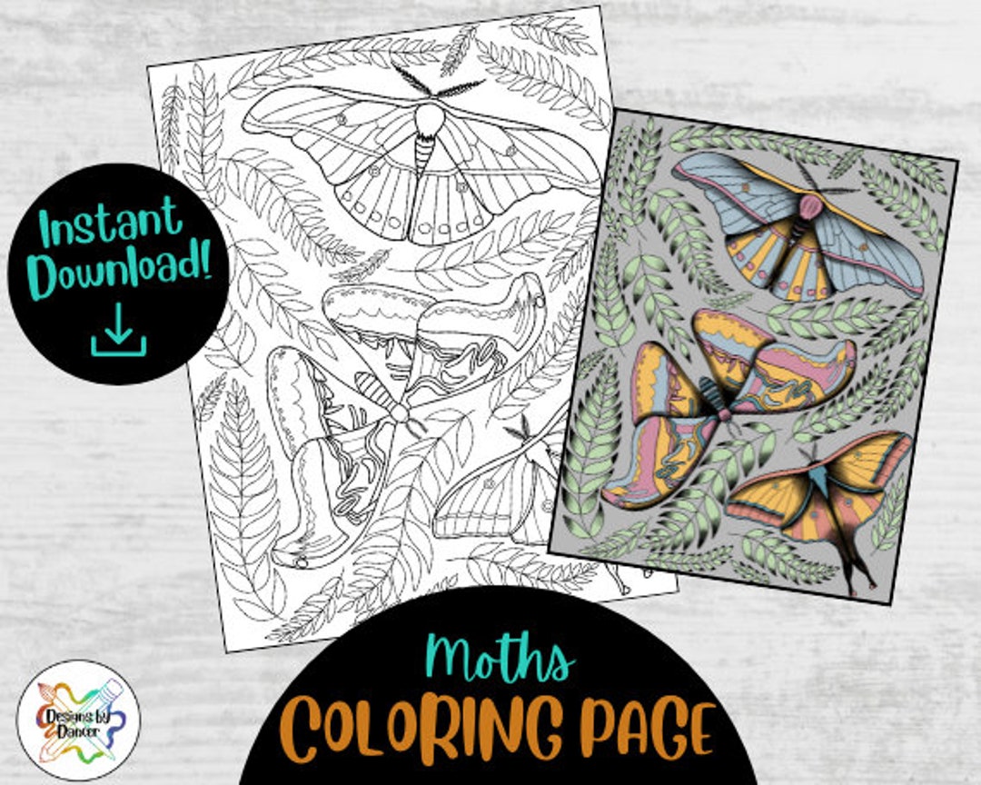 Key Moth Colouring Moths Coloring Page Instant Download (printable, for Digital Coloring ...