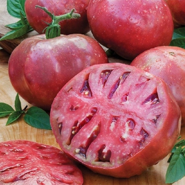 Cherokee Purple Heirloom Tomato Seeds - Large, Juicy Tomato