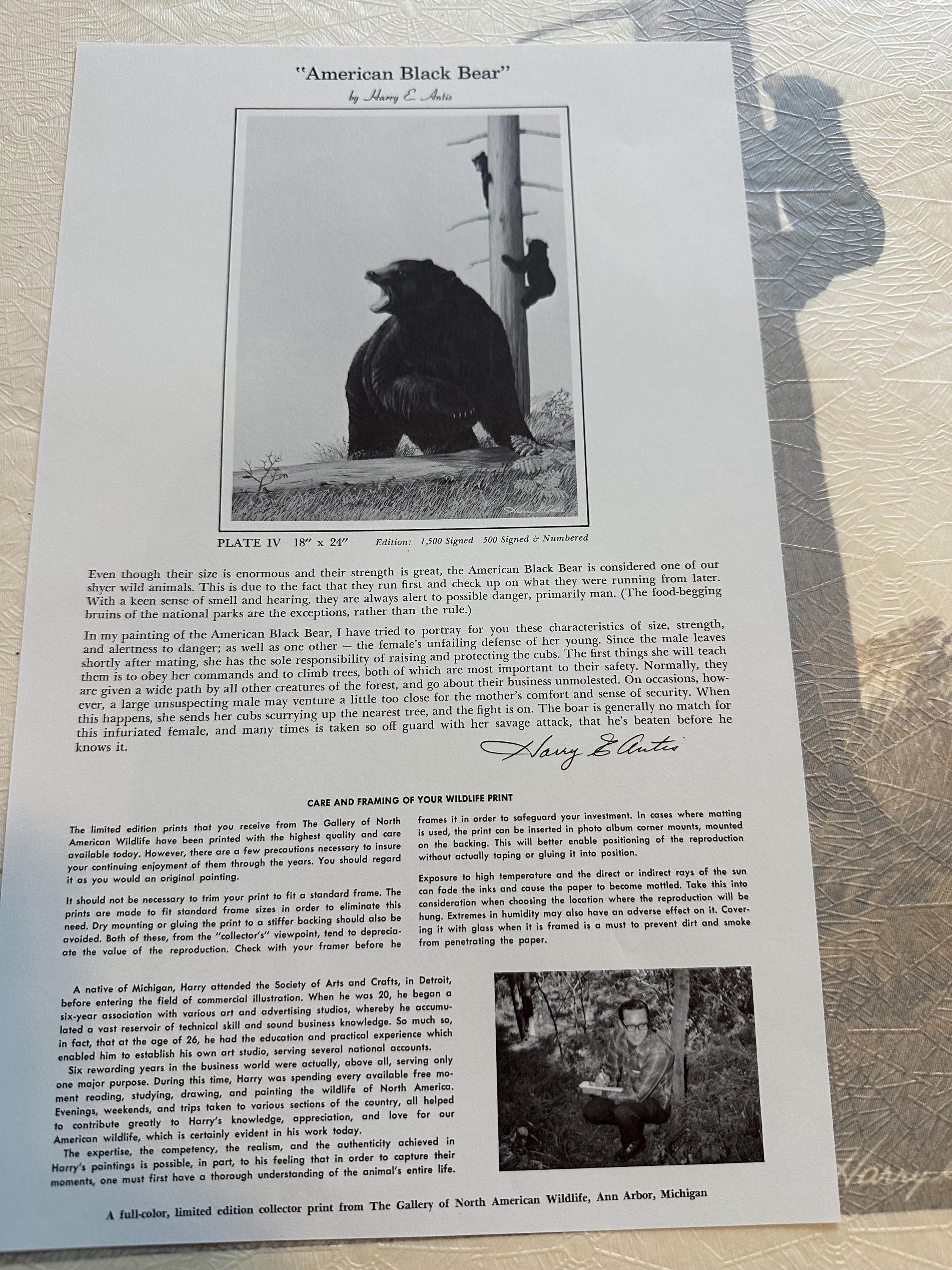 ハリー・アンティス ワイルドライフプリントセット：（15点中1点）限定