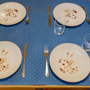 Vintage Hearthside Japan Stoneware Dinner Plates - Sculptura Felicity Set