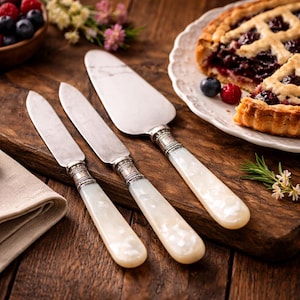 Vintage Mother of Pearl Handled Cheese & Butter Knife Set | EPNS | Antique Style Tableware