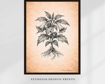 Datura Stramonium (Devil’s Trumpet) Printable Wall Art – Wiccan Magical Plant Illustration – Vintage Botanical Decor