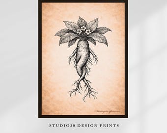 Mandragora Officinarum Witchy Printable for Protection & Ritual Use – Vintage Botanical Magical Plant Illustration