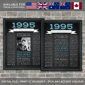 30th Birthday Poster, 30th Chalkboard Poster, 30th Birthday Sign, 1995 Poster, 1995 Facts, Back in 1995, PRINTABLE - DIGITAL FILE