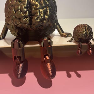 3D Printed Brain
