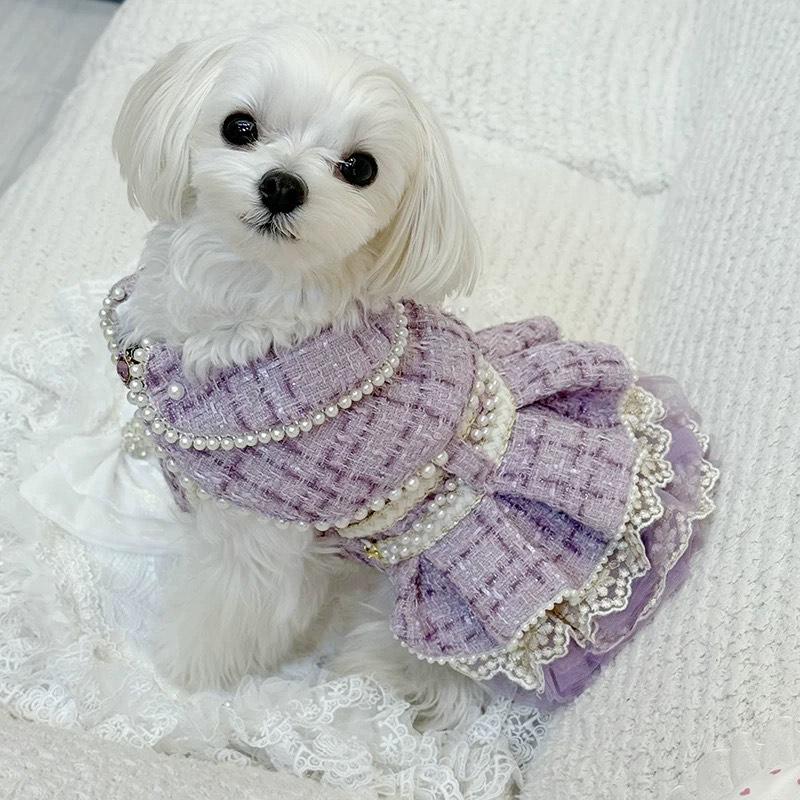 Chanel dog clothing España
