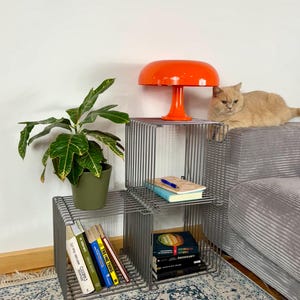 May include: A modern interior scene featuring a stackable wire cube shelving unit. An orange mushroom-shaped lamp sits atop the unit, with books and a potted plant nearby. A cat lounges on the unit. The rug has a blue and white pattern.