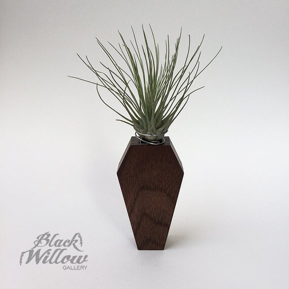 Mini Coffin Planter - Etsy