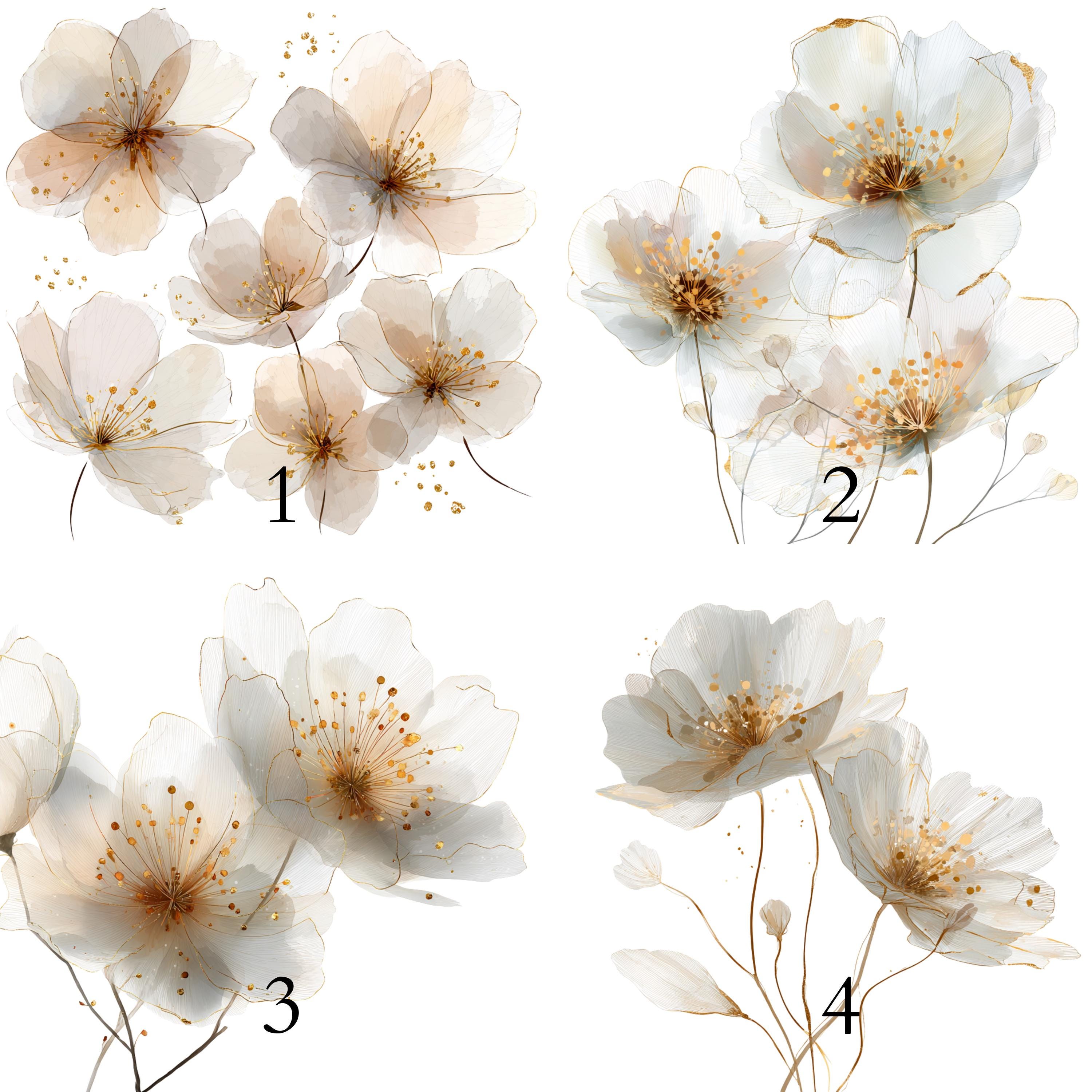 Ivory Floral Clipart | Cream & Gold Flower Graphics (digital Download ...