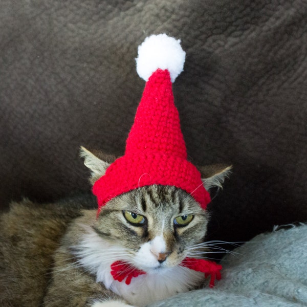 Santa Hat for Pet, Ready To Ship, Crochet Christmas Costume, Cat Hat, Dog Hat, Elf Hat, Earflap Beanie Hat, Holiday Hat, Santa Claus Costume