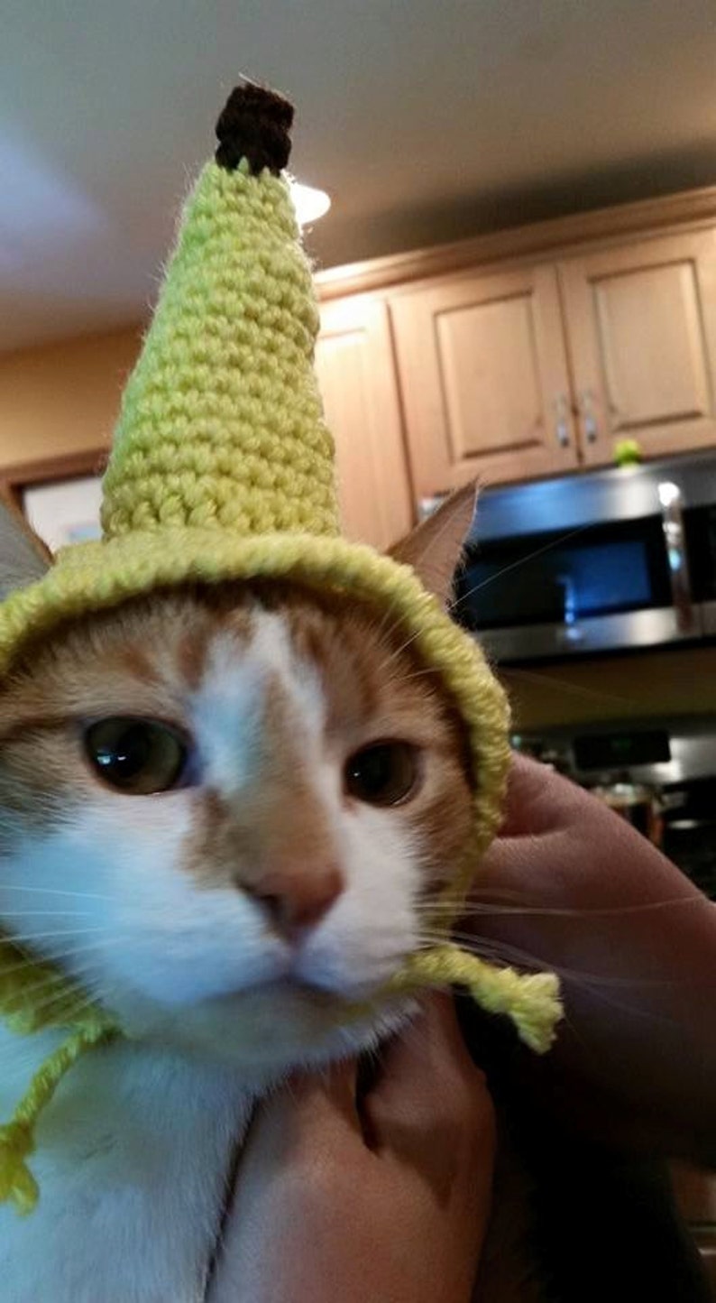 Custom Crochet Banana Hat for your Pet Kitten Fruit Costume Small Dog Custom Order Cat