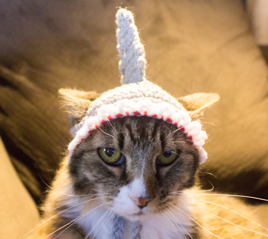 Shark Costume Hat for Cats, Ready to Ship, Crochet Cat Hat, Shark