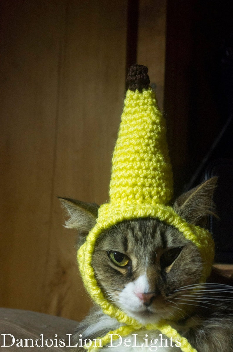 Custom Crochet Banana Hat for your Pet Kitten Fruit Costume Small Dog Custom Order Cat