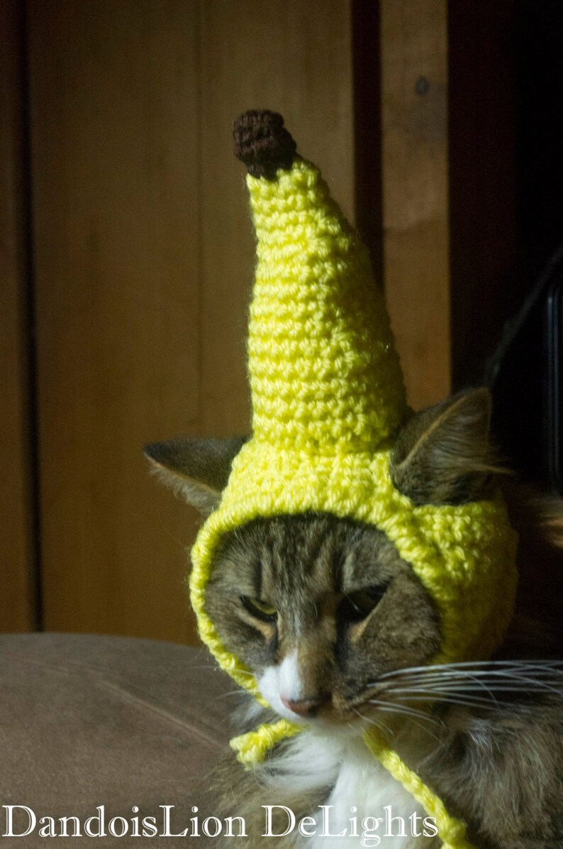 Custom Crochet Banana Hat for your Pet Kitten Fruit Costume Small Dog Custom Order Cat
