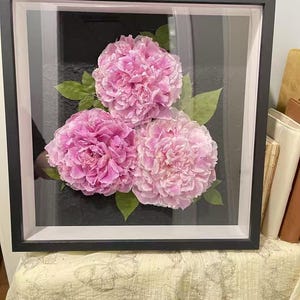 Handmade Dried Peony Flower Frame: Real Floral Shadow Box Wall Art