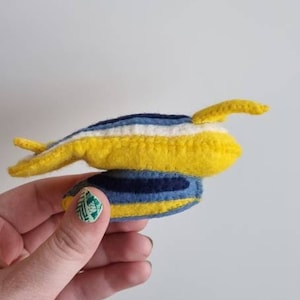 Felt sea slug sea bunny nudibranch