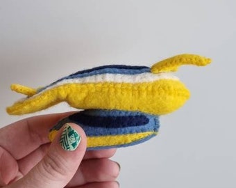 Felt sea slug sea bunny nudibranch