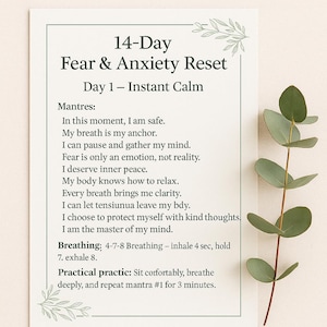 14-Day Fear and Anxiety Reset Journal – Daily Positive Affirmations, Breathing Exercises and Mindfulness Activities for Inner Calm