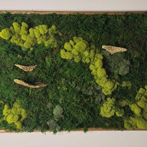May include: A rectangular wall art piece featuring a dense arrangement of preserved dark green moss and vibrant lime green reindeer moss clusters. The composition includes several small, light-colored, textured bark pieces embedded within the moss.