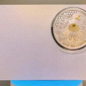 Harmony Bee copper round in its capsule laid on a plain surface, corner shot showing the reverse honeycomb and coneflower design with COPPER rim text.