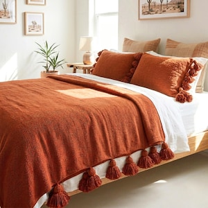 May include: A terracotta-colored bedspread with matching throw pillows and tassels. The bed is made up with white sheets and a wooden bed frame. Decorative framed art and a potted plant are visible in the background.