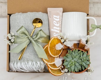Succulent Gift Box with Live Plant – Birthday, Self Care, or Thank You Gift