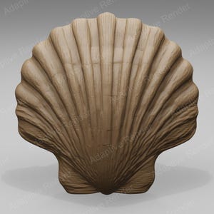 Puede incluir: Una concha marina de color marrón claro en forma de abanico con un diseño simétrico que presenta crestas verticales prominentes y surcos profundos que irradian desde la base hasta el borde festoneado, creando una textura mate uniforme.
