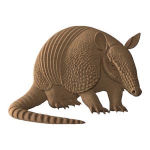 May include: A detailed wooden carving of an armadillo, showing its segmented shell and textured skin. The sculpture is in a natural wood tone, with visible grain patterns. The armadillo is depicted in a walking pose, with its tail extended.