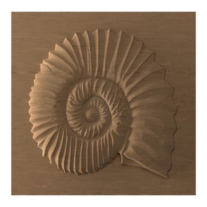 Puede incluir: Panel de madera tallada con un diseño de concha de nautilus. La espiral de la concha muestra texturas y patrones intrincados. La madera tiene un tono cálido y natural, y el tallado es preciso y dimensional.