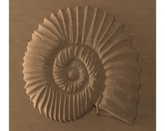 Ammonite sculpture STL file CNC carving and 3D printing | Fossil relief | Prehistoric shell decor