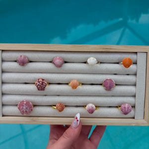 May include: A collection of eleven rings featuring natural seashell tops in various shades of pink, orange, and white, arranged in a rectangular beige velvet jewelry display tray with a light wood frame, showcasing diverse shell textures and shapes.
