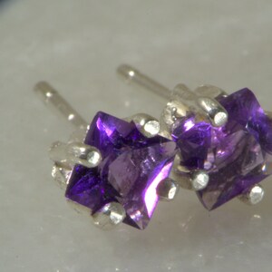 Amethyst Princess Pair