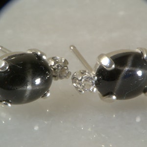 Black Star Diopside Accented Earrings.