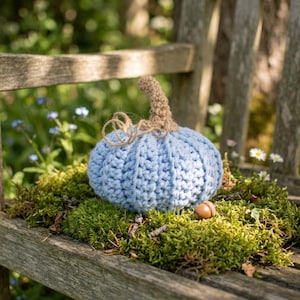 Puede incluir: Una calabaza de ganchillo azul claro con una superficie texturizada y acanalada y un tallo de ganchillo color canela. La calabaza presenta un trozo decorativo de cuerda natural atado alrededor de la base del tallo y descansa sobre musgo verde.