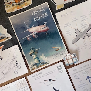 Plano de aula DIGITAL Aviation PLUS Birds, educação domiciliar