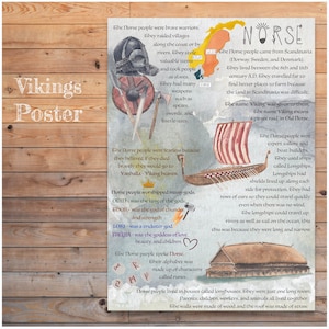 DIGITALE Geschiedenis Infographic, Viking-poster