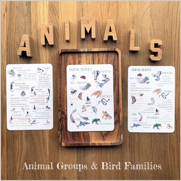 DIGITAL Animal Groups and Ocean Families poster